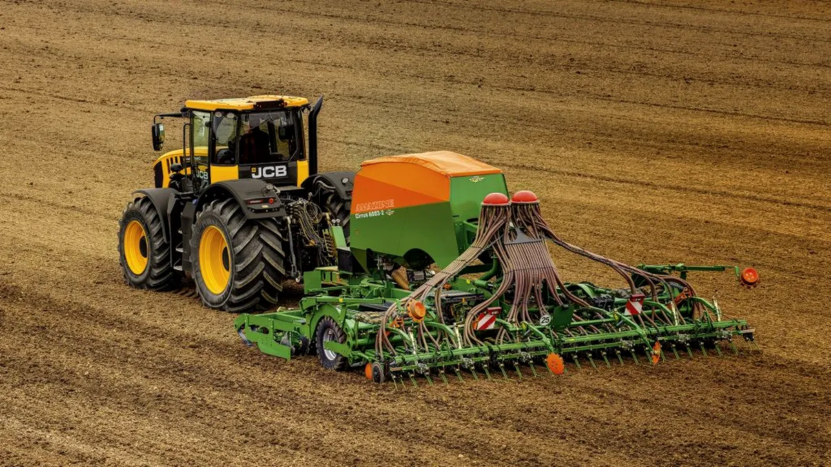 Planta căreia i-a explodat prețul în pandemie. Se întâmplă fix acum în România