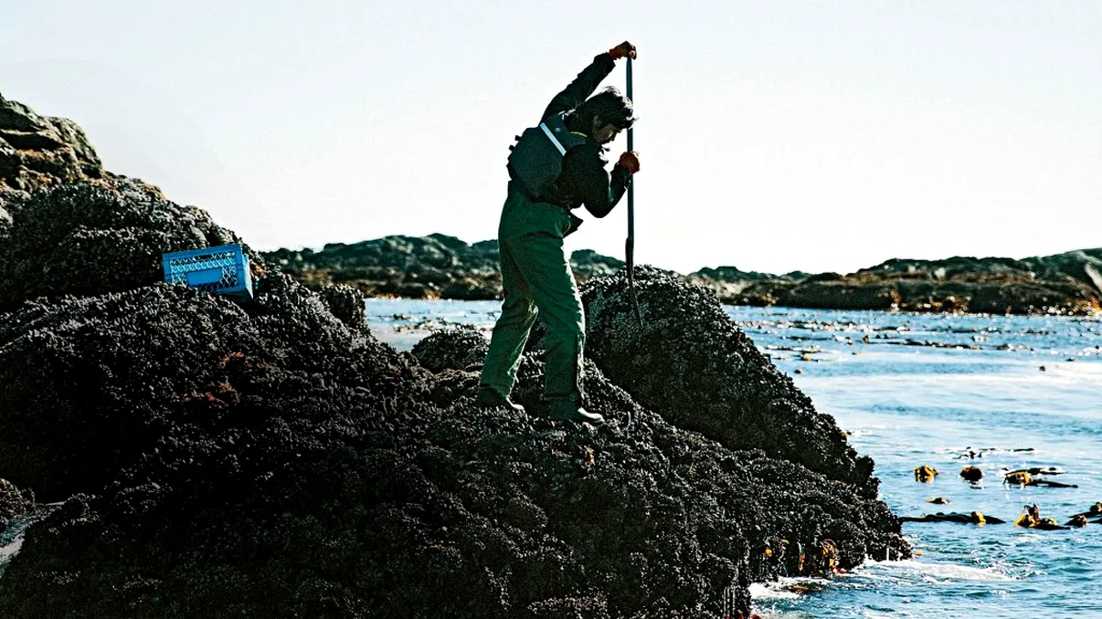 Vietatea ‘din altă lume’ descoperită pe malul apei. Oamenii au încremenit când au văzut-o