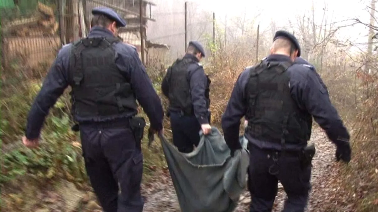 Tragedie în Giurgiu. O mamă a fost ucisă de câinii fiului ei, în timp ce îi hrănea. Patrupezii aparțin unei rase periculoase