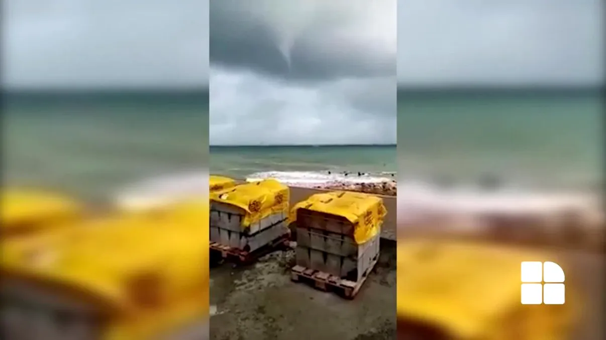 Apariție neobişnuită în largul Mării Negre. Ce spun specialiștii despre acest fenomen rar VIDEO