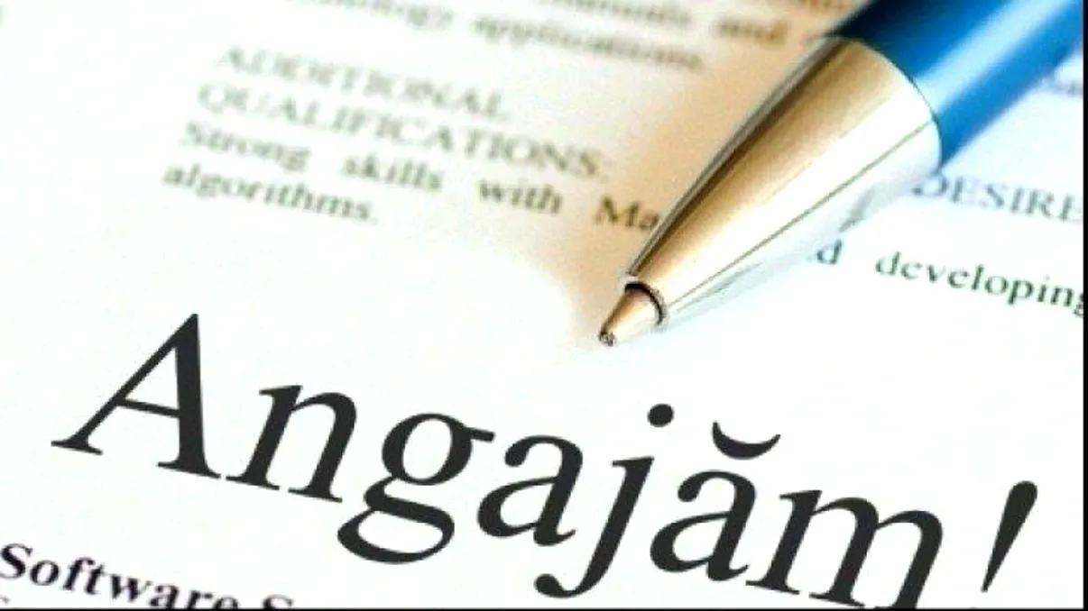 Meseriile care nu dispar în timp de criză. Unde te poți angaja dacă ești șomer