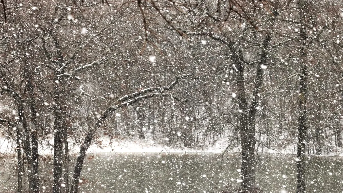 De ce ți se pare că e liniște în oraș după ce ninge. Care este explicația fenomenului