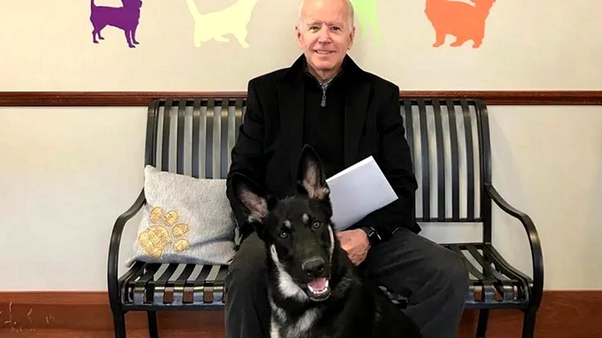 Joe Biden s-a rănit singur. Ce accident stupid a pățit, de fapt, președintele Americii