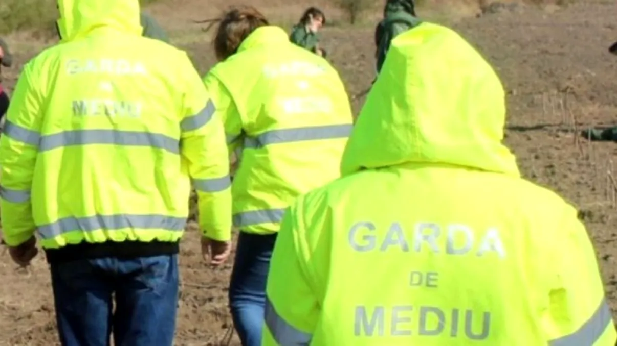 Descoperire șocantă în curtea unui restaurant din Timișoara. Garda a acționat imediat