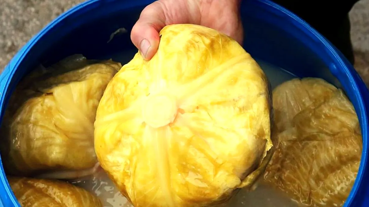 Ce se întâmplă în corpul tău dacă mănânci varză murată zilnic. E aur curat pentru sănătate