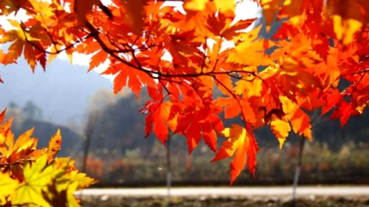 Meteo. Vești bune pentru cine iese din casă azi. Ce se întâmplă cu temperaturile