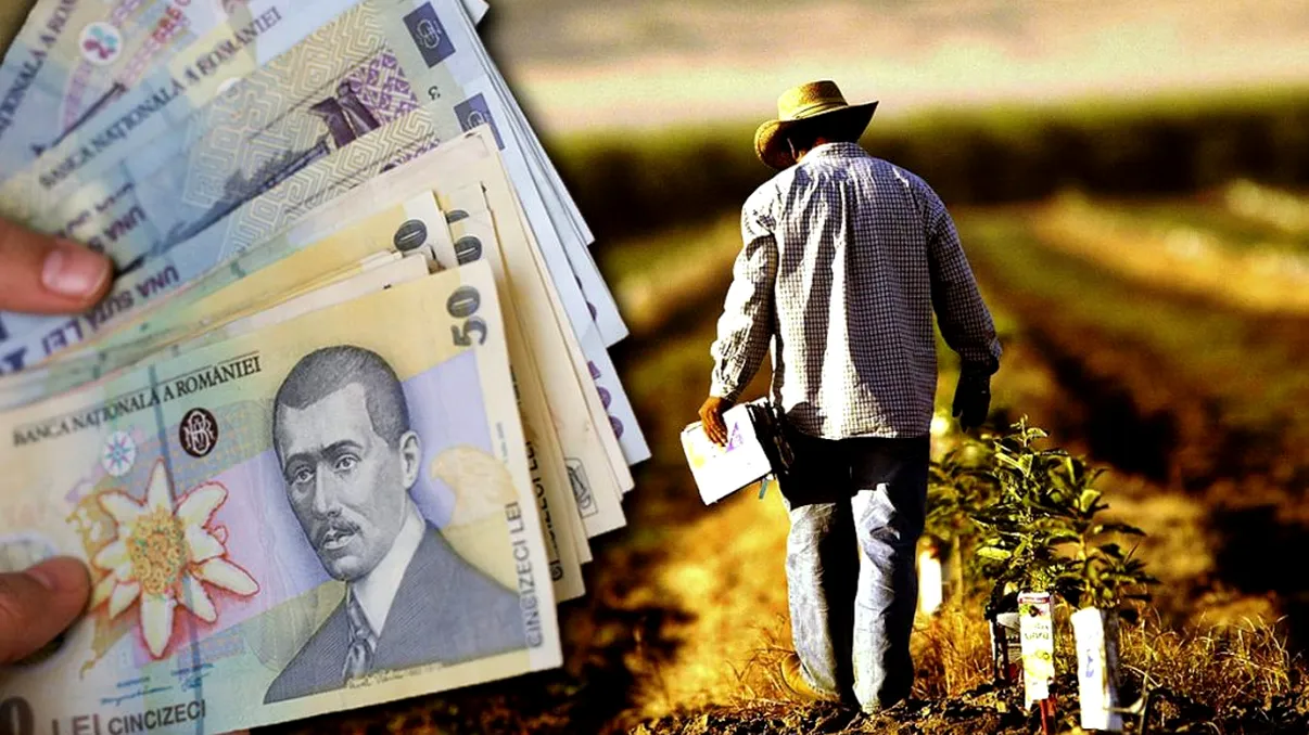Se dau bani de la stat pentru agricultori. Cine poate câștiga până la 3.000 de euro pentru un hectar