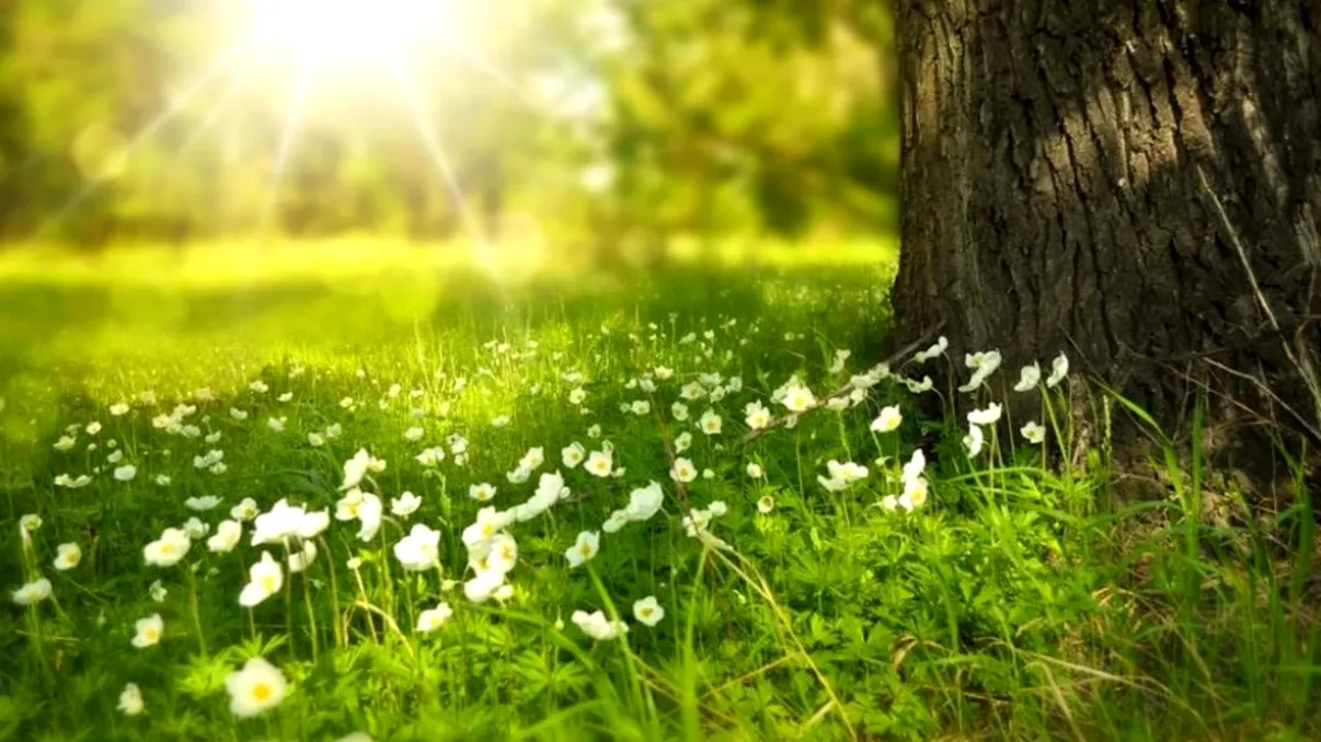 Meteo 21 mai - 21 iunie. Temperaturi anormal de ridicate în unele zone. Ce ne așteaptă în curând