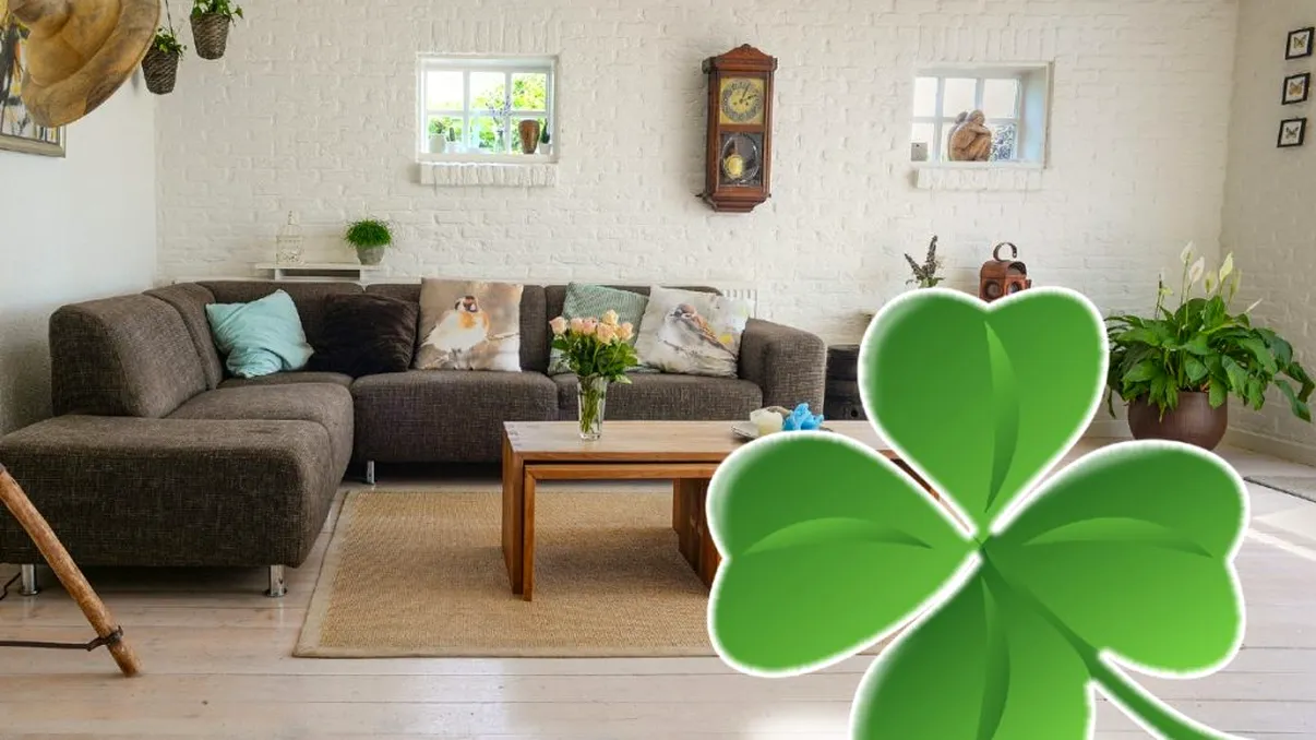 Obiectele pe care trebuie sa le ții în casă. Îți aduc mult noroc, vei câștiga și bani