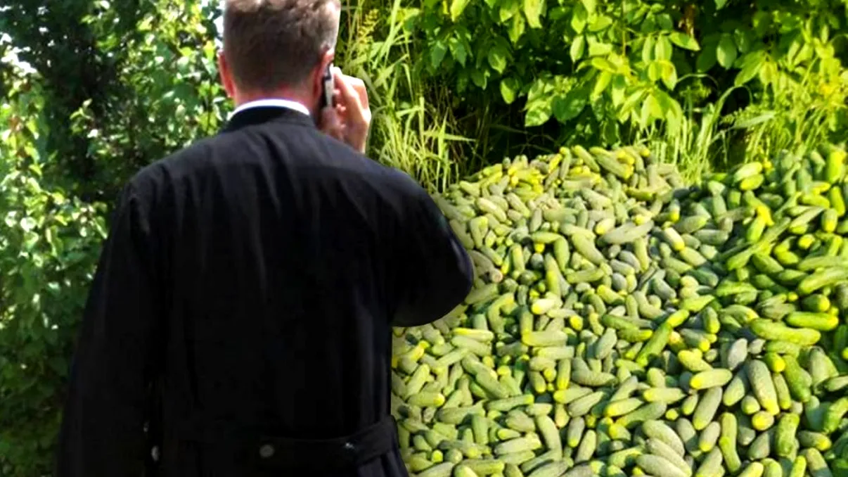 Ce se întâmplă cu castraveții aruncați pe câmp. Un preot din Slatina a găsit soluția genială