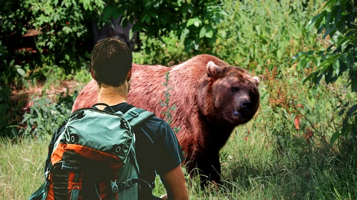 Cum arată bărbatul din Covasna care a fost mușcat de față de către un urs. Imagine cu impact emoțional