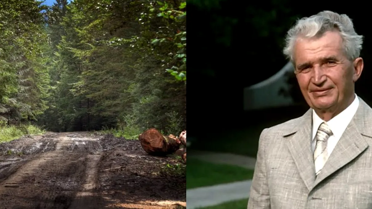 Imaginile groazei cu un drum din Iași, unde oricine se poate rătăci, fiindcă GSP-ul nu funcționează acolo. S-a aflat de ce era frecventat des de Nicolae Ceaușescu