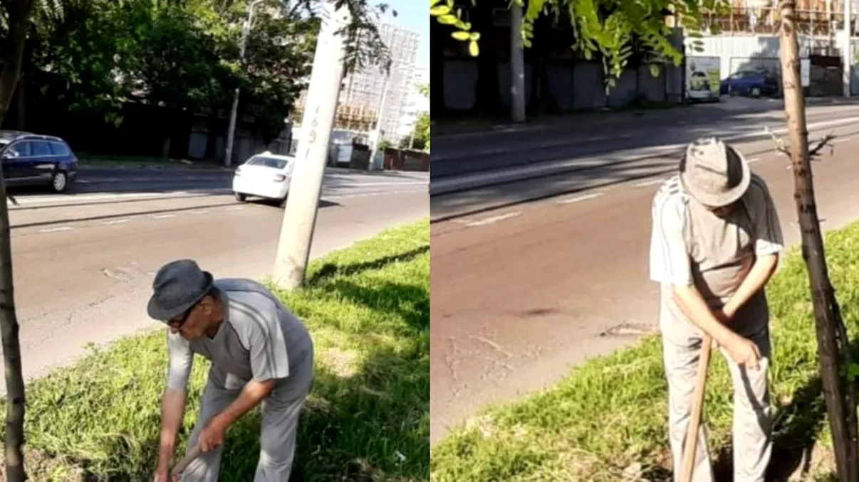 Povestea impresionantă a pensionarului care are grijă de copacii din Galați. 