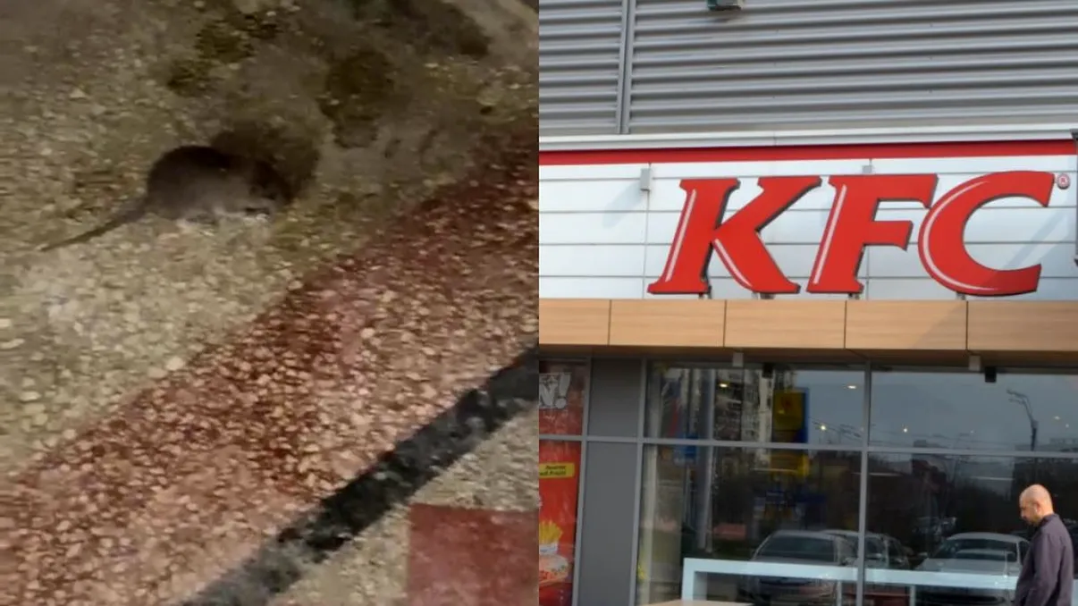 Un șoarece, zărit lângă tomberoanele de gunoi de unde se ridicau produsele KFC. Ce reacție a avut companie de fast-food