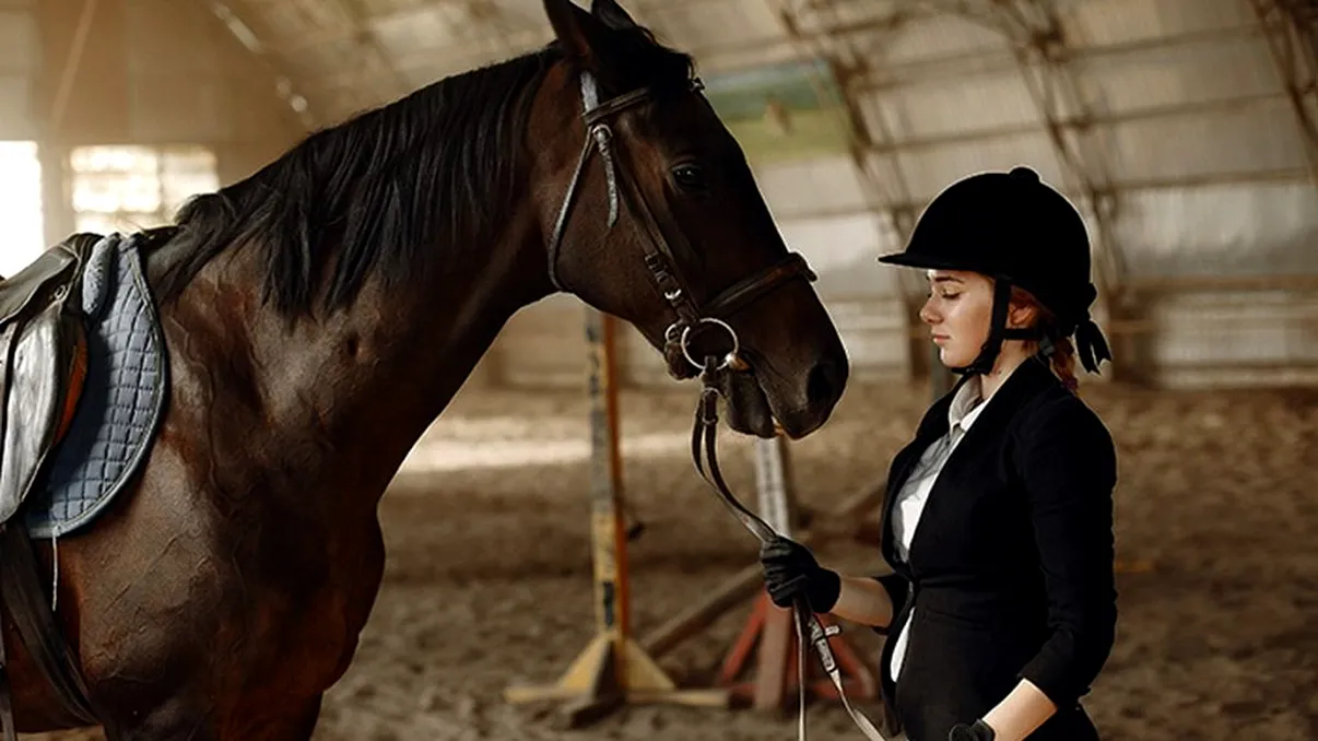 Cât costă o săptămână de călărie. Ce prețuri au cei ce oferă lecții de echitație