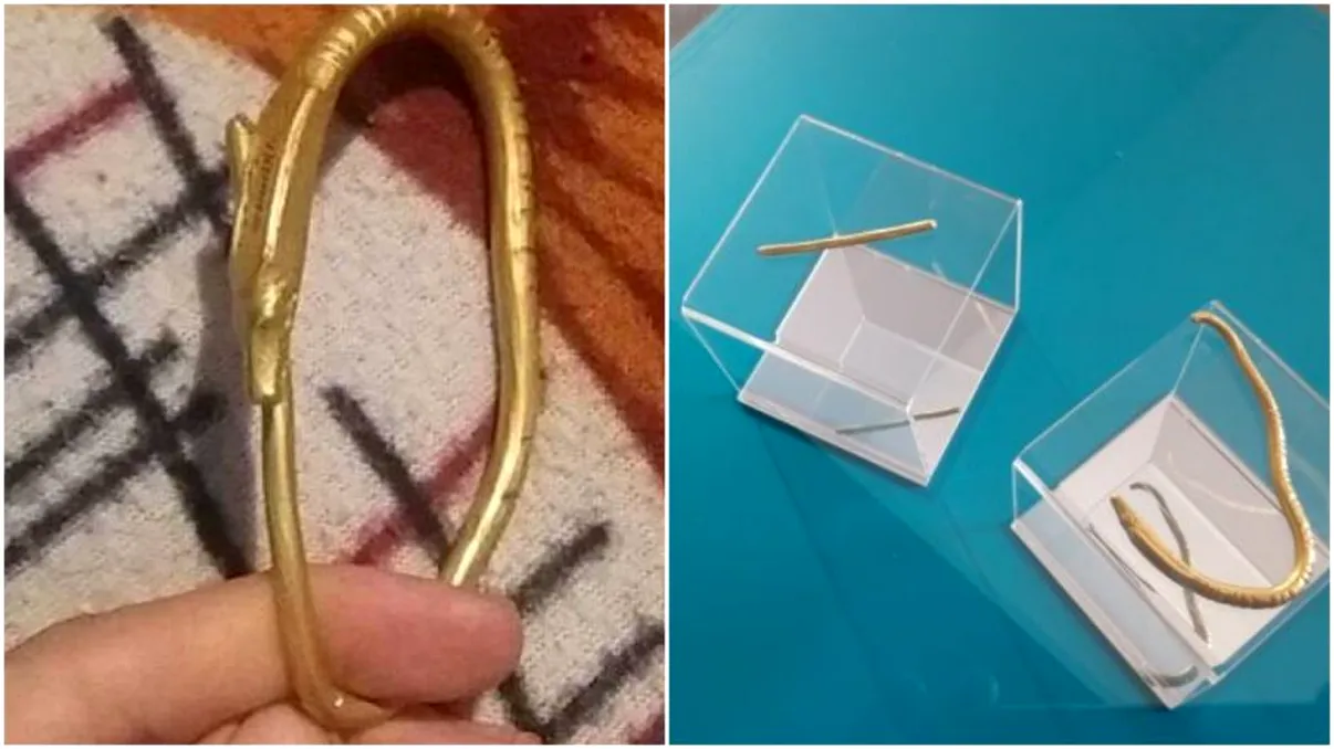 Câți bani valorează brățara de aur descoperită de un oltean acum 5 ani. S-a aflat abia acum