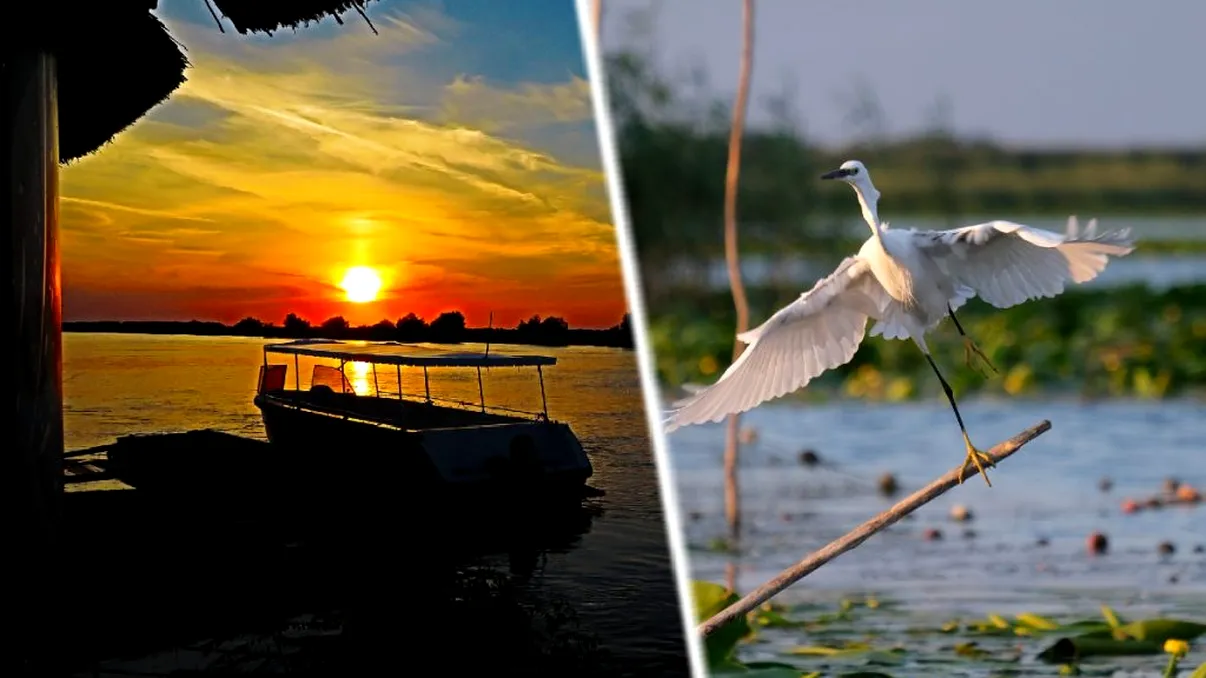 Cum arată Delta Dunării, fotografiată din satelitul Sentinel-2. Imaginea e pur și simplu senzațională FOTO