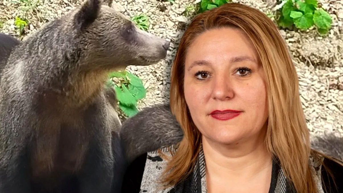 Diana Șoșoacă a revenit! Ce a spus despre urșii României a viralizat-o iar în mediul online VIDEO