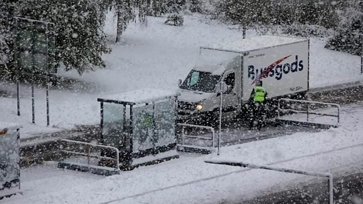 Prima ninsoare în Europa, chiar de azi. Fenomenul care i-a uimit pe locuitori