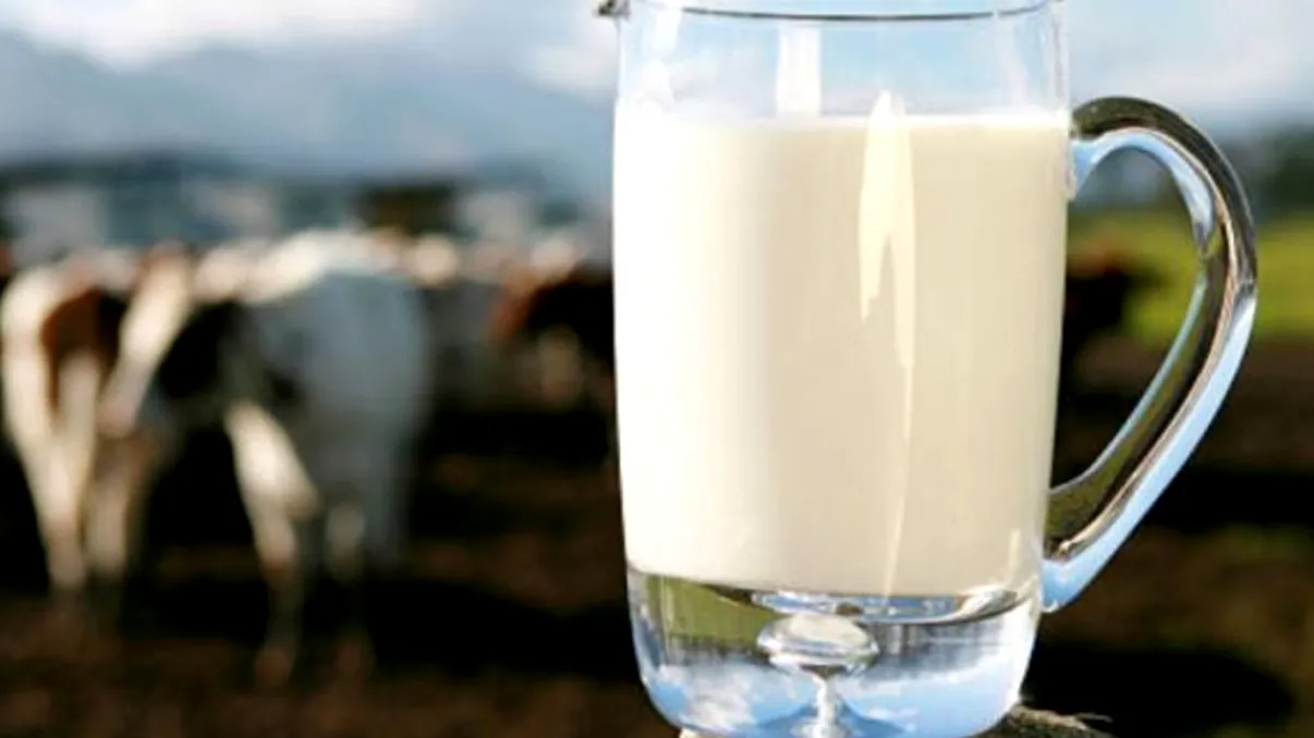 Cum vrea un bărbat din Iași să readucă gustul din copilăriei în farfurii. Dorește atestatul de producător tradițional pentru lactate făcute ca la bunica