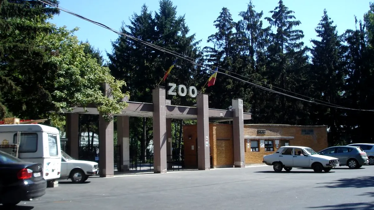 Cele mai frumoase grădini zoologice din România. Unde poți vedea animale deosebite