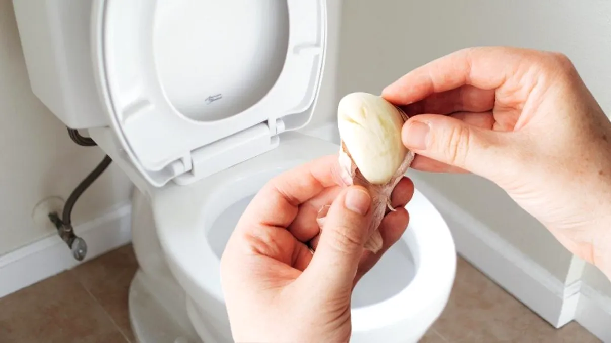 A pus un cățel de usturoi zdrobit în vasul toaletei, peste noapte. Ce s-a întâmplat în tot acest timp