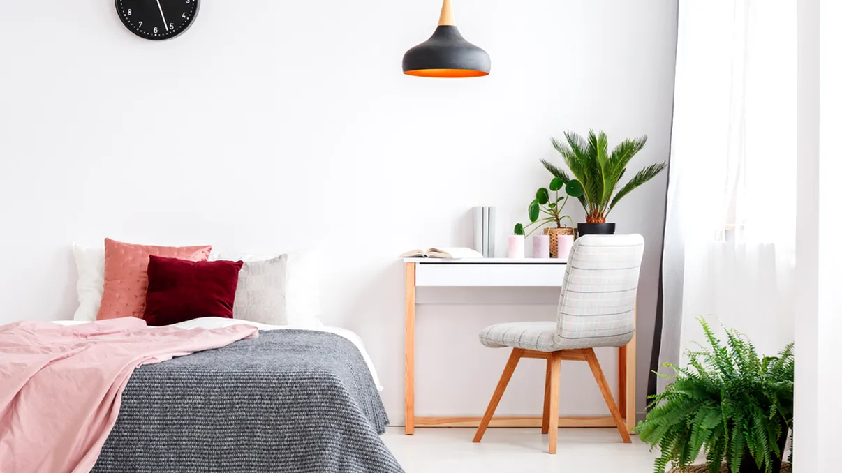 Plantele care te feresc de coșmaruri. Trebuie neapărat să le ai în casă