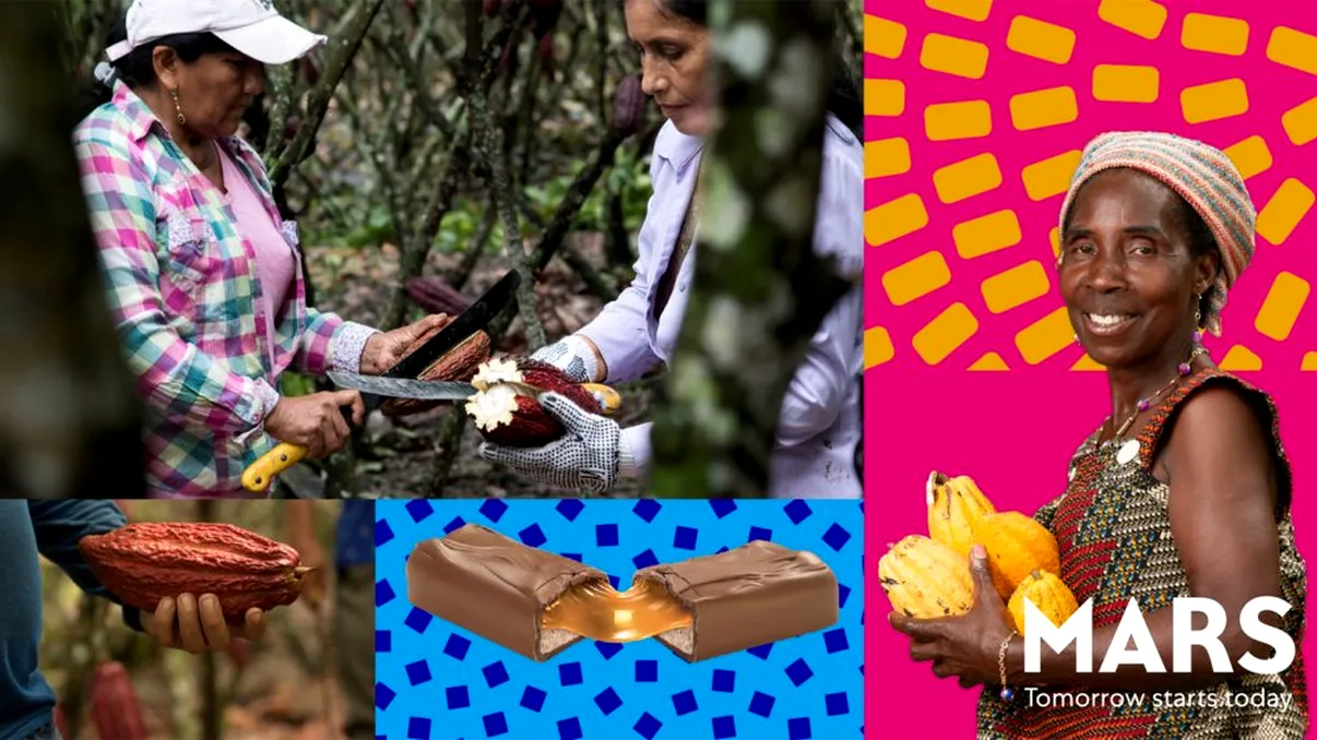 400.000 tone metrice de cacao pe an și multă responsabilitate [P]