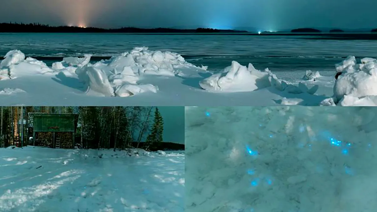 Luminile albastre care strălucesc sub zăpadă au fost elucidate. Ce se află, de fapt, sub omăt