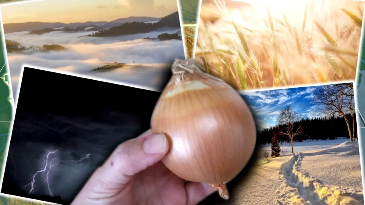 Cum află româncele vremea cu ajutorul unei cepe. Trucul băbesc pe care îl poți face și tu