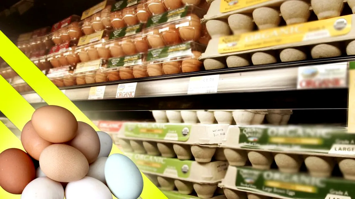 De ce ouăle au mai multe culori în comerț. Cât de mult contează ce tip de ou alegi când faci cumpărături