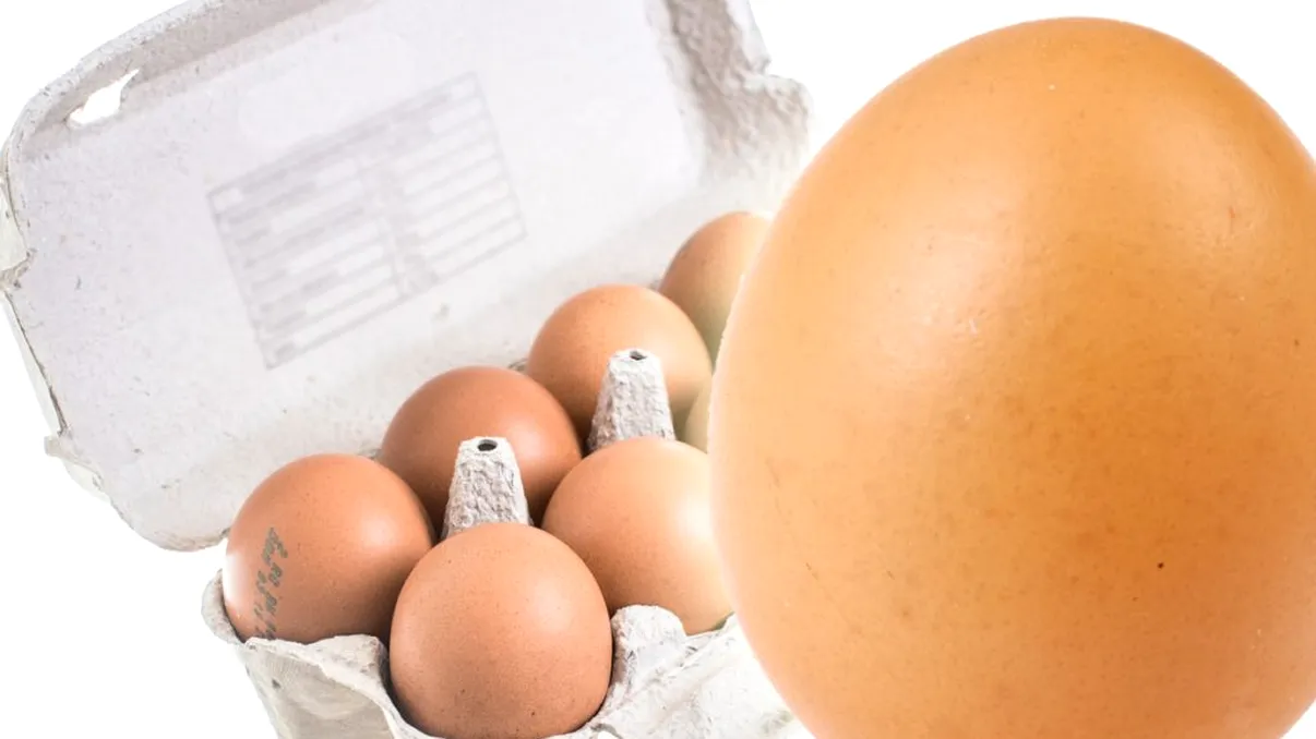 Minciunile de pe cofragul cu ouă din comerț. Informația care, practic, nu îți spune nimic VIDEO