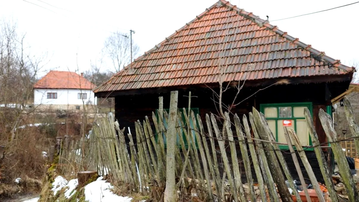 Satul din România care rămâne pustiu în fiecare iarnă. Animalele sălbatice pun stăpânire pe loc