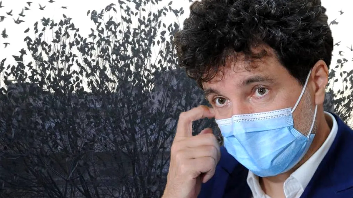 Suma colosală pe care Nicușor Dan o va cheltui pentru a afla cum poate scăpa de ciorile din Cișmigiu. Bucureștenii vor fi extrem de revoltați