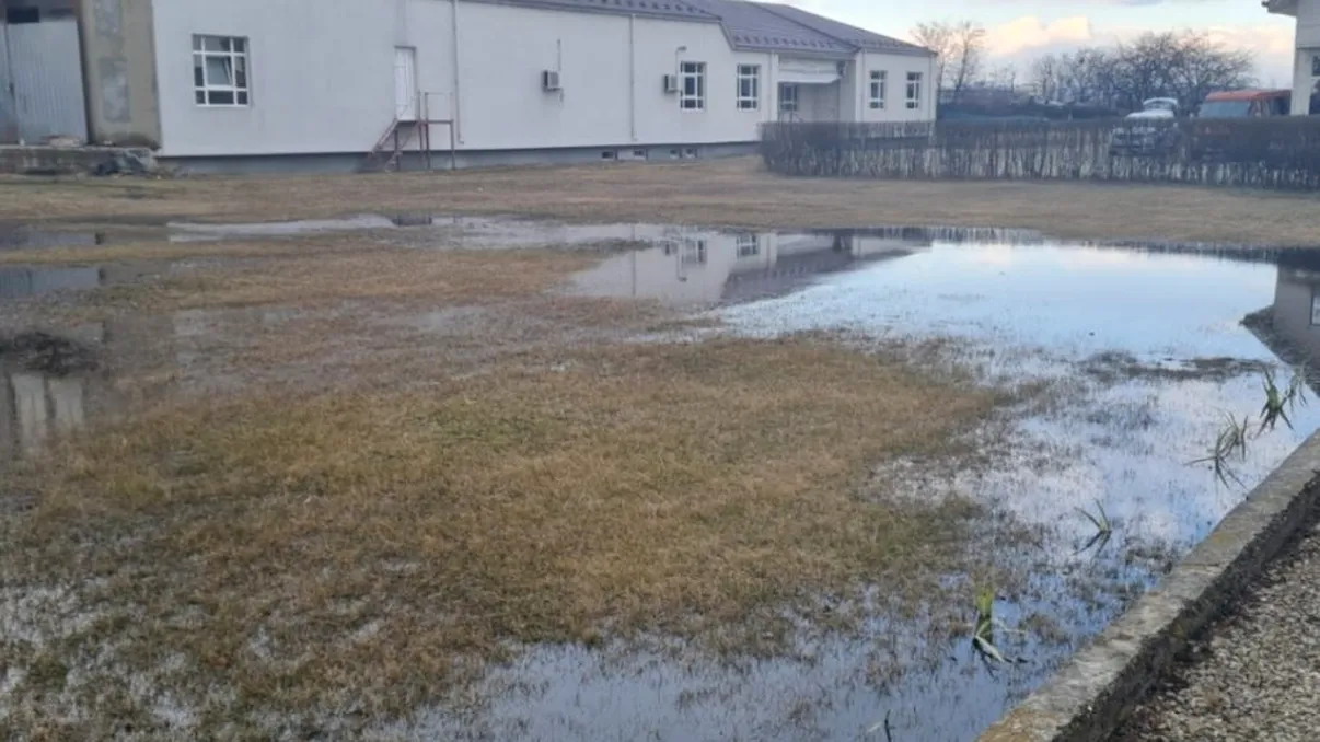 Petrom și Conpet, amendate  în urma scurgerilor de produs petrolier din conducte. Cu ce sumă au fost sancționate de Garda de Mediu