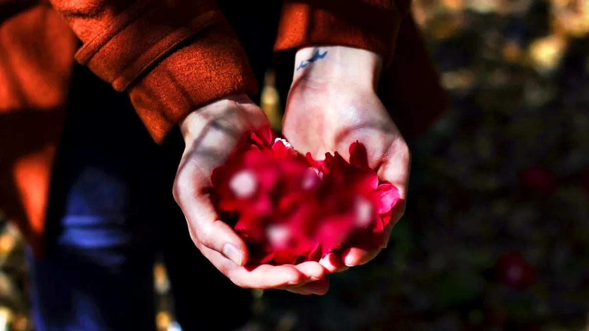 Planta care atrage iubirea în 2022. Trebuie să o ai în casă dacă vrei o relație