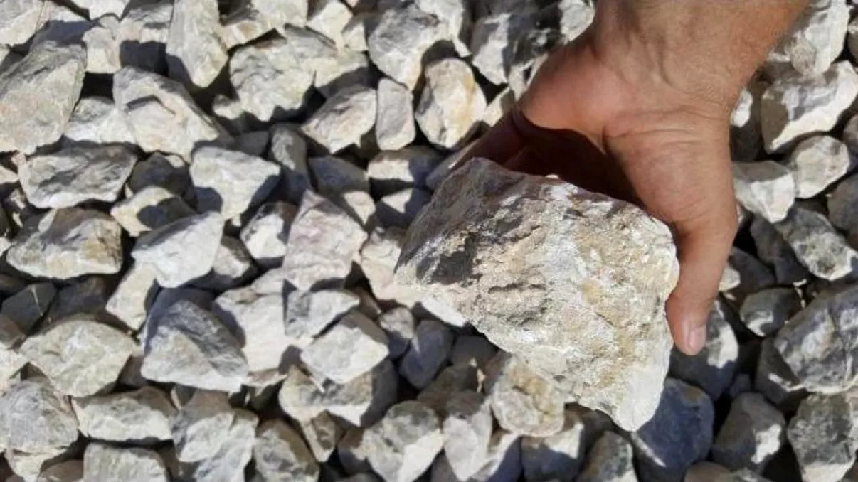 Ce este calcarul concasat pus în Parcul Grădina Icoanei din București de către primăria Sectorului 2