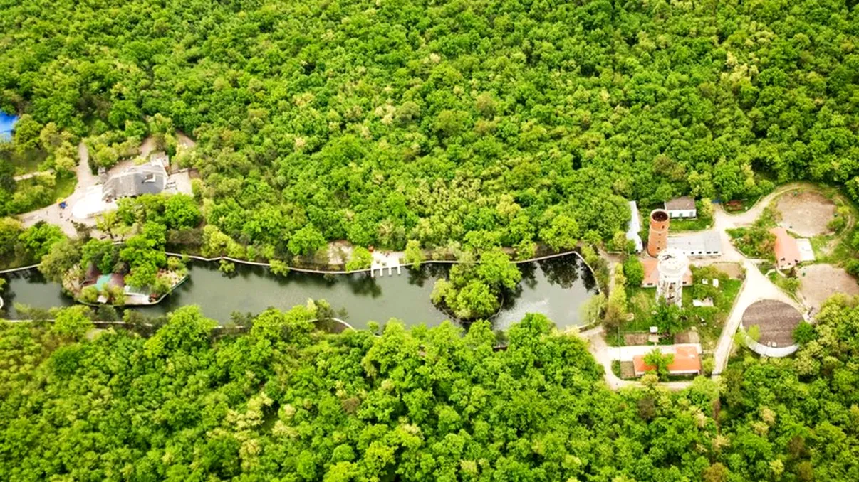 Cel mai mare parc din Europa ar putea fi în România. Primăria cărui oraș are acest plan măreț