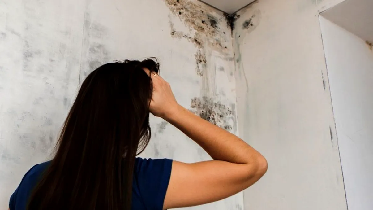 Trucuri pentru curățenia de primăvară. Ce trebuie să faci în martie, unde apare mucegaiul