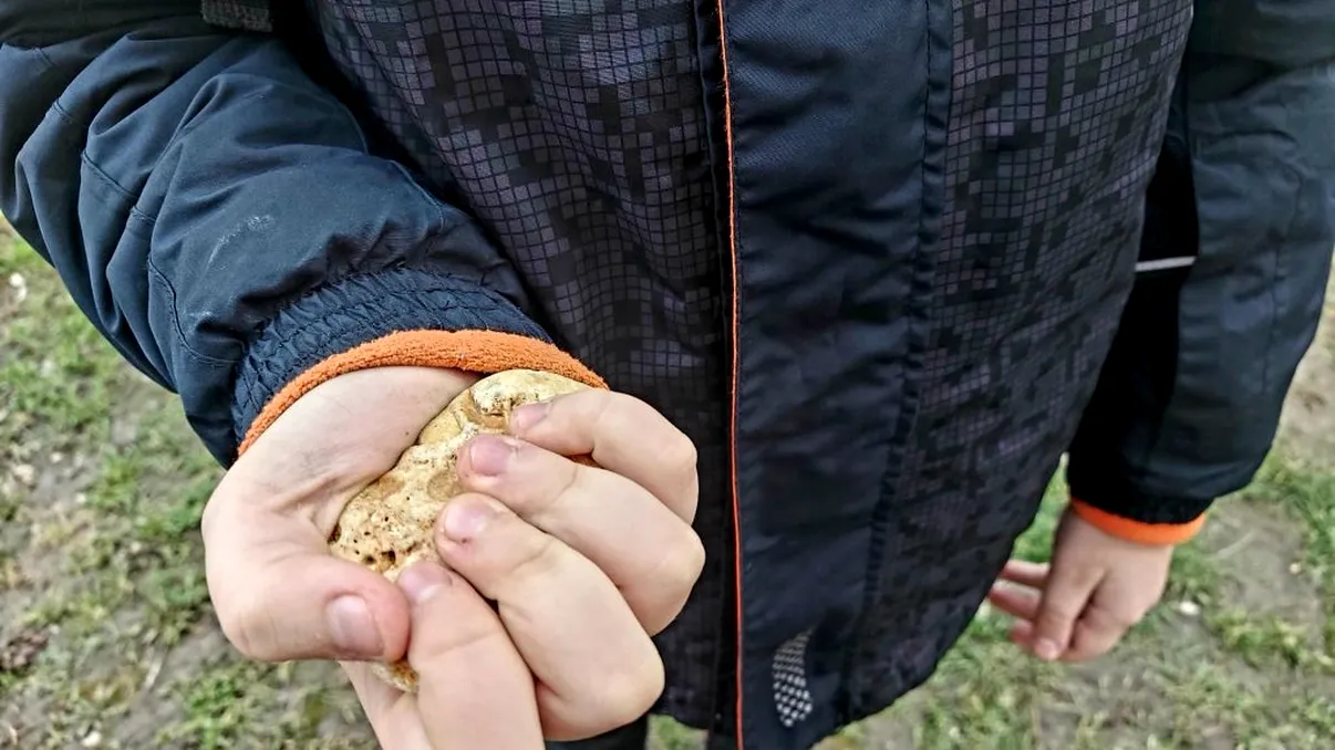 Motivul pentru care un băiețel de 6 ani din Ucraina a mers 1.500 de km cu o piatră în pumn