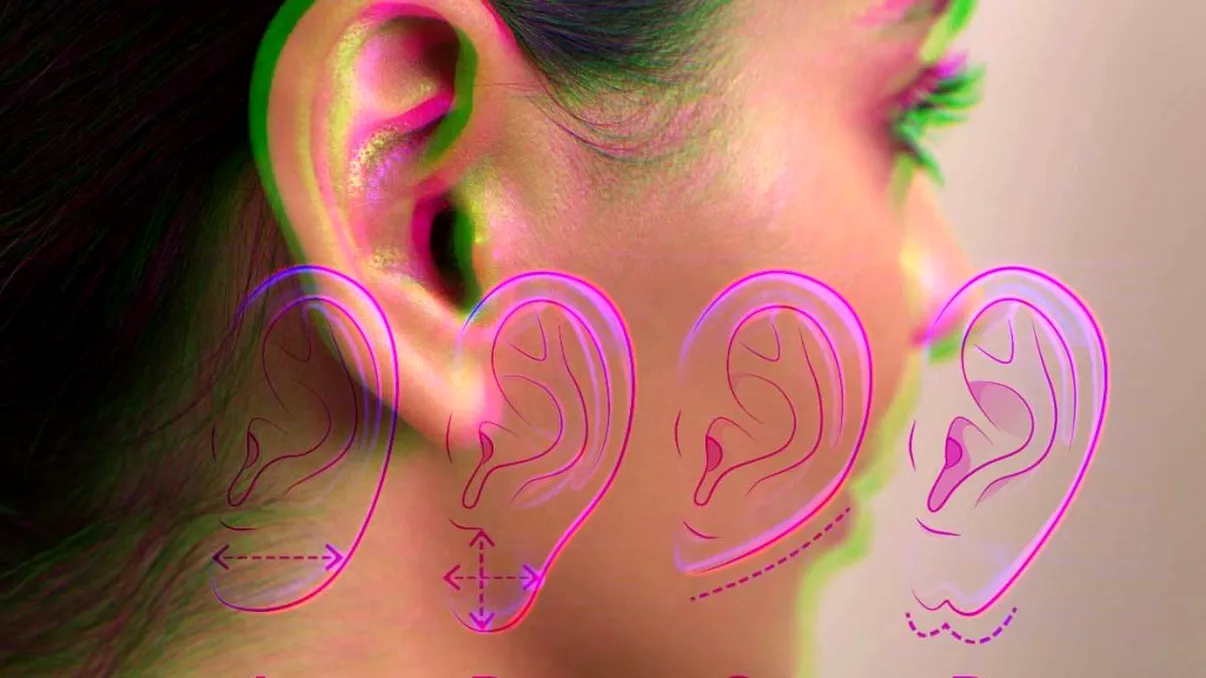 Ce spun urechile despre caracterul tău. Ce parte indică nivelul tău de inteligență, de fapt