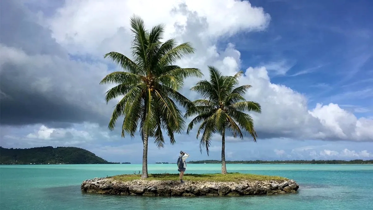 Cum reușește un bărbat să trăiască pe o insuliță. Care e singura sursă de venit, dar și de hrană