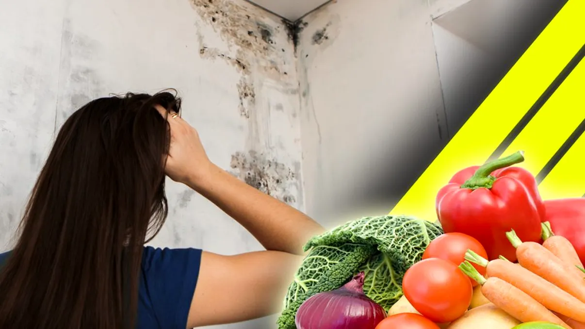 Leguma care te scapă rapid de mucegaiul de pe pereţi. Trucul este genial