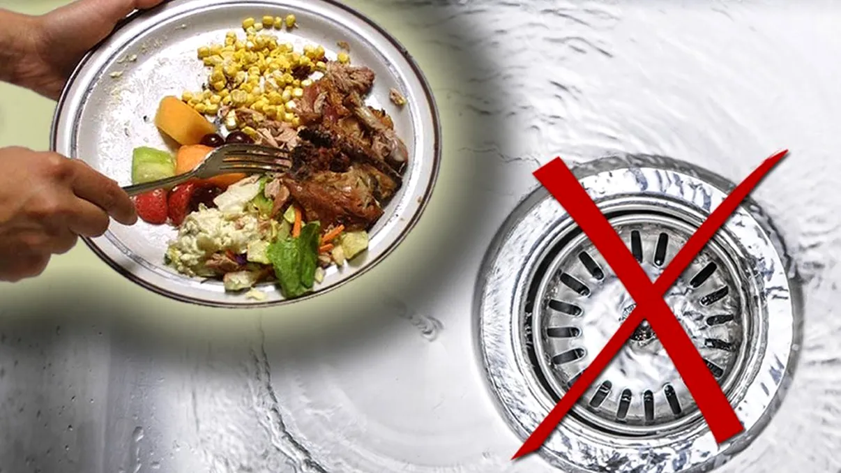 Alimentele care nu trebuie aruncate niciodată în chiuvetă. Nu mai face aceste greșeli