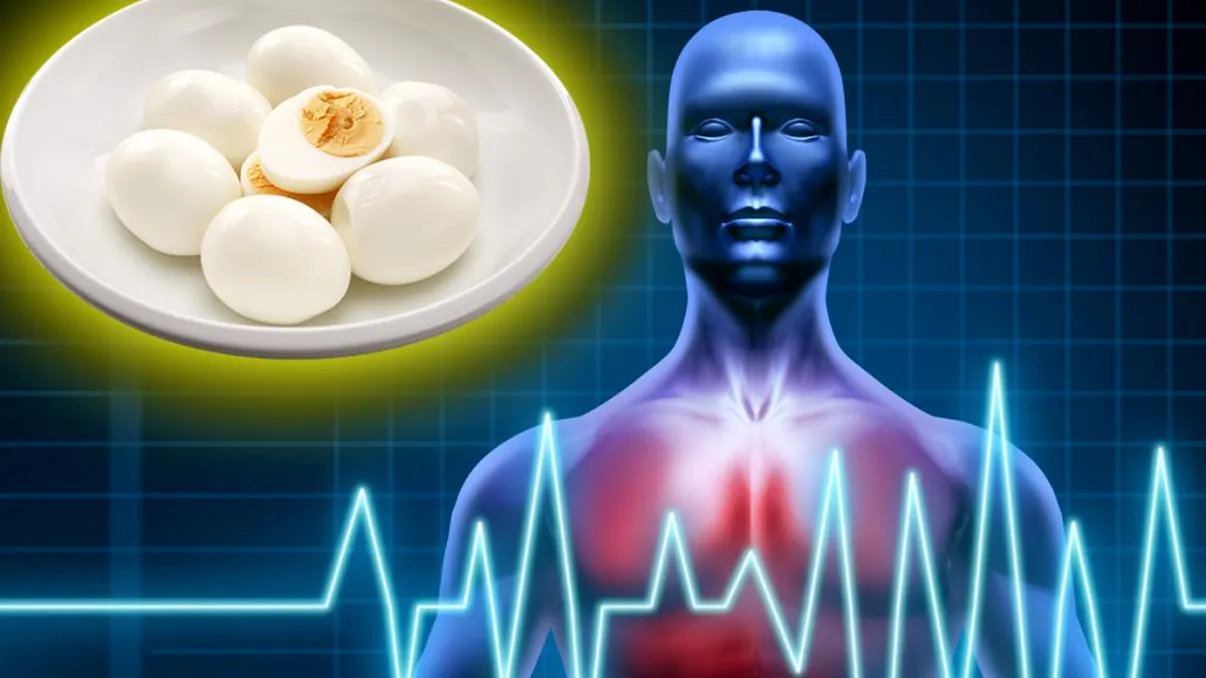 Efectele pe care le are un ou fiert asupra organismului. Ce beneficii există, explicația specialiștilor