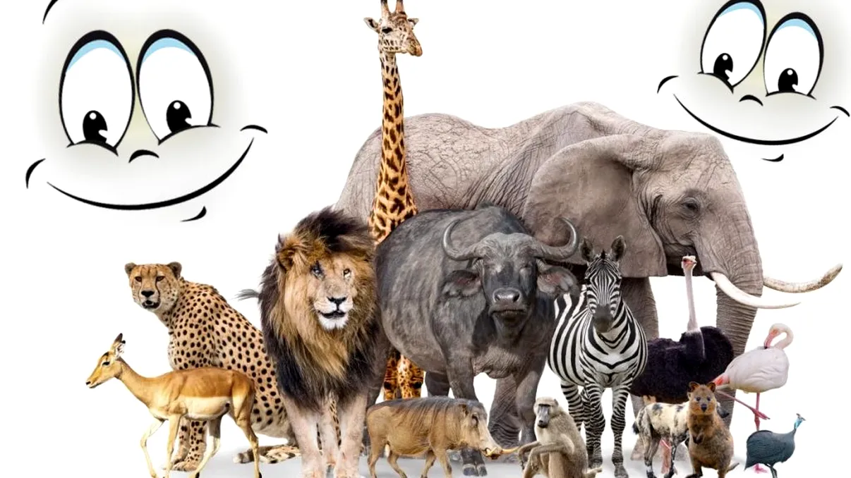 Animalul care nu se oprește niciodată din zâmbit. Foarte puțini oameni îl știu