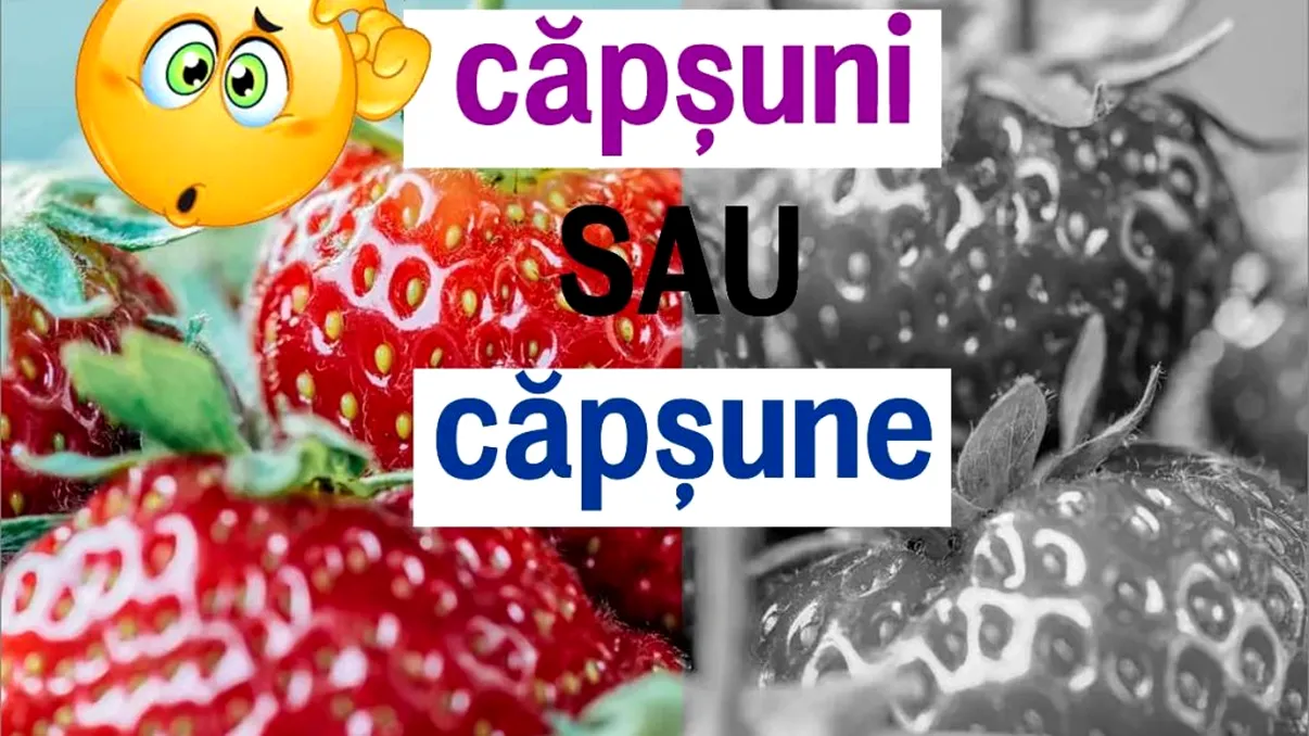 Căpșune sau căpșuni? Mulți fac confuzia
