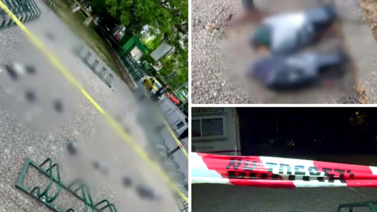 Imagini de groază surprinse într-un parc din Capitală. Oamenii, speriați de ce au putut să găsească lângă locurile de joacă pentru copii