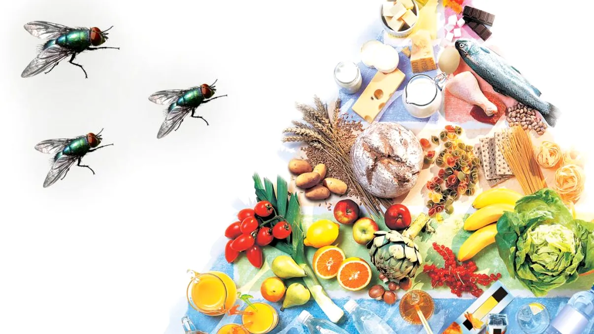 Alimentele care țin muștele departe de casa ta. Nu te vor mai enerva toată vara