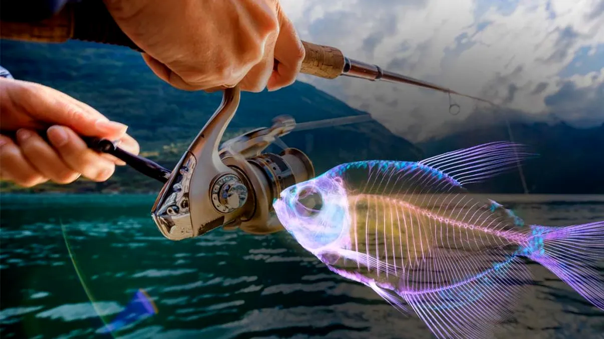 Peștele bizar pe care l-a prins un român. Ce este, de fapt: „O specie foarte invazivă”